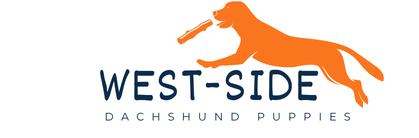 West Side Dachshund